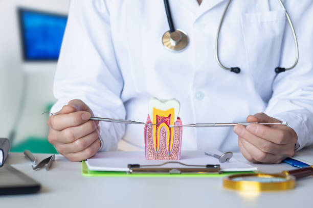 Best Orthodontic Emergency Dentist in University Of Virginia, VA